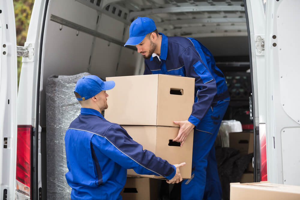 Moving Services in Hamilton Township
